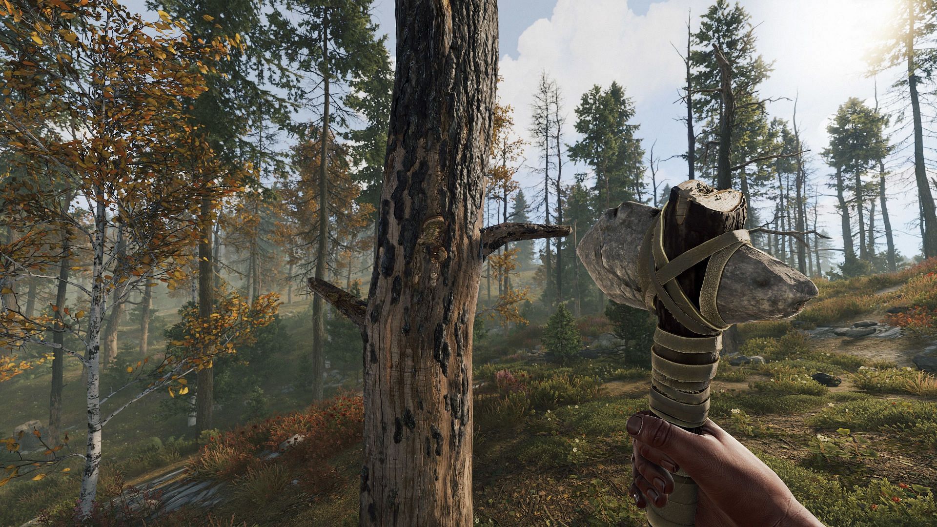 Farming wood using stone hatchet (Image via Facepunch Studios)